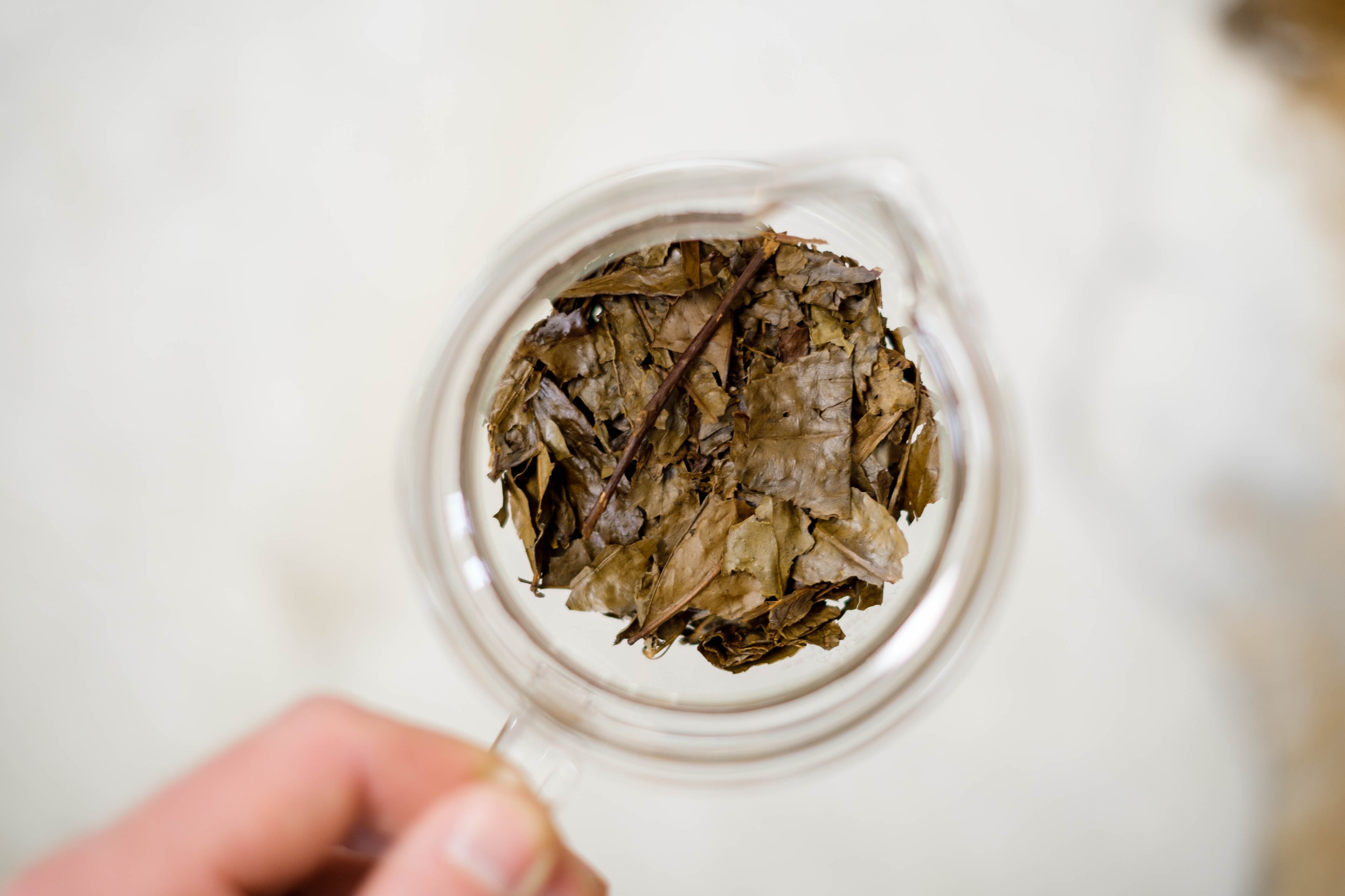 Organic kyobancha loose leaf tea. Roasted green tea from Kyoto, Japan – Mizuba Tea Co.