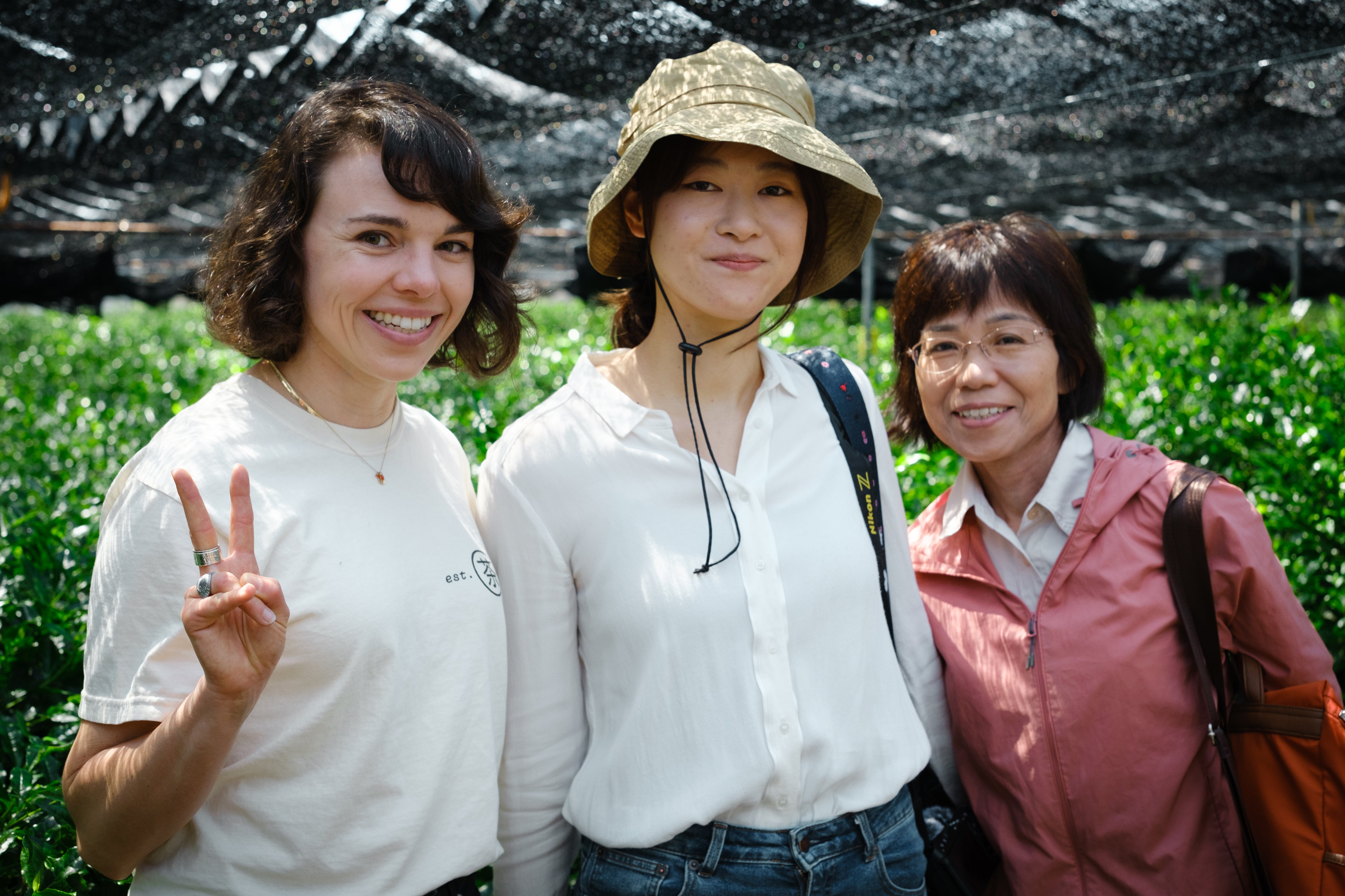 Three women smile and stand in a shaded tea field in Uji, Japan.