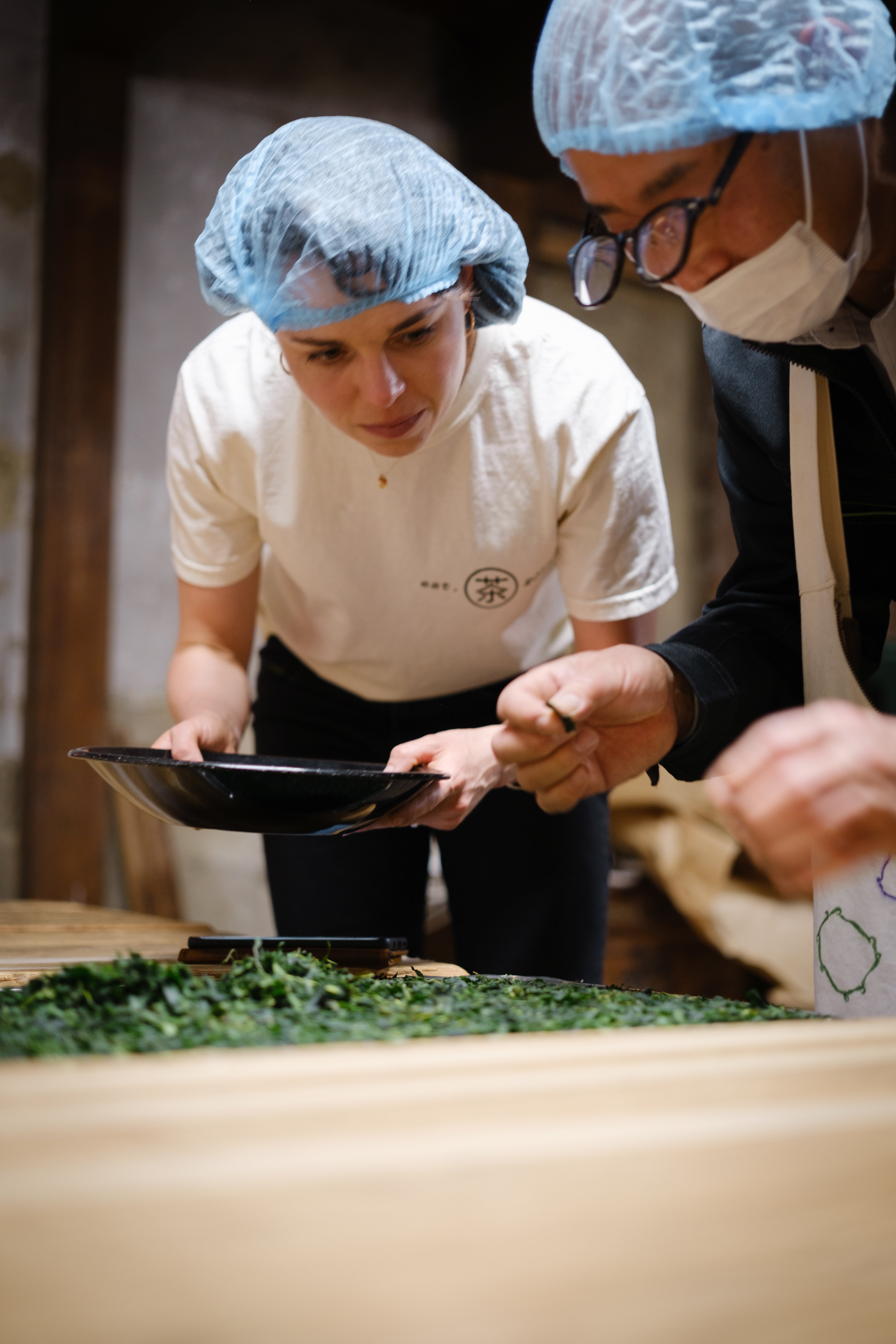 A woman and Japanese tea master in a tea factory evaluate freshly harvested tencha green tea leaves to be milled into matcha in Japan.