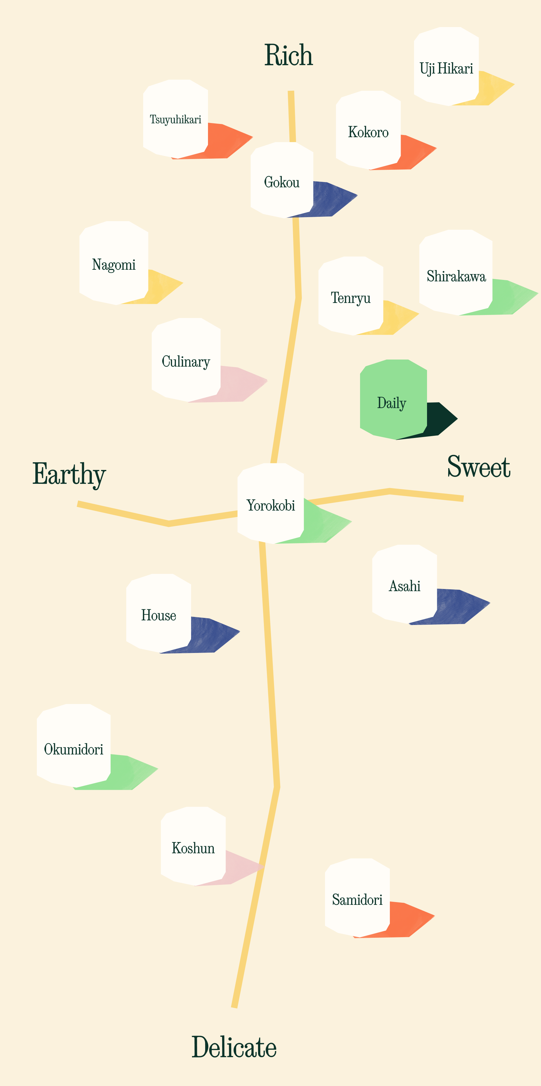 Matcha flavor profile 