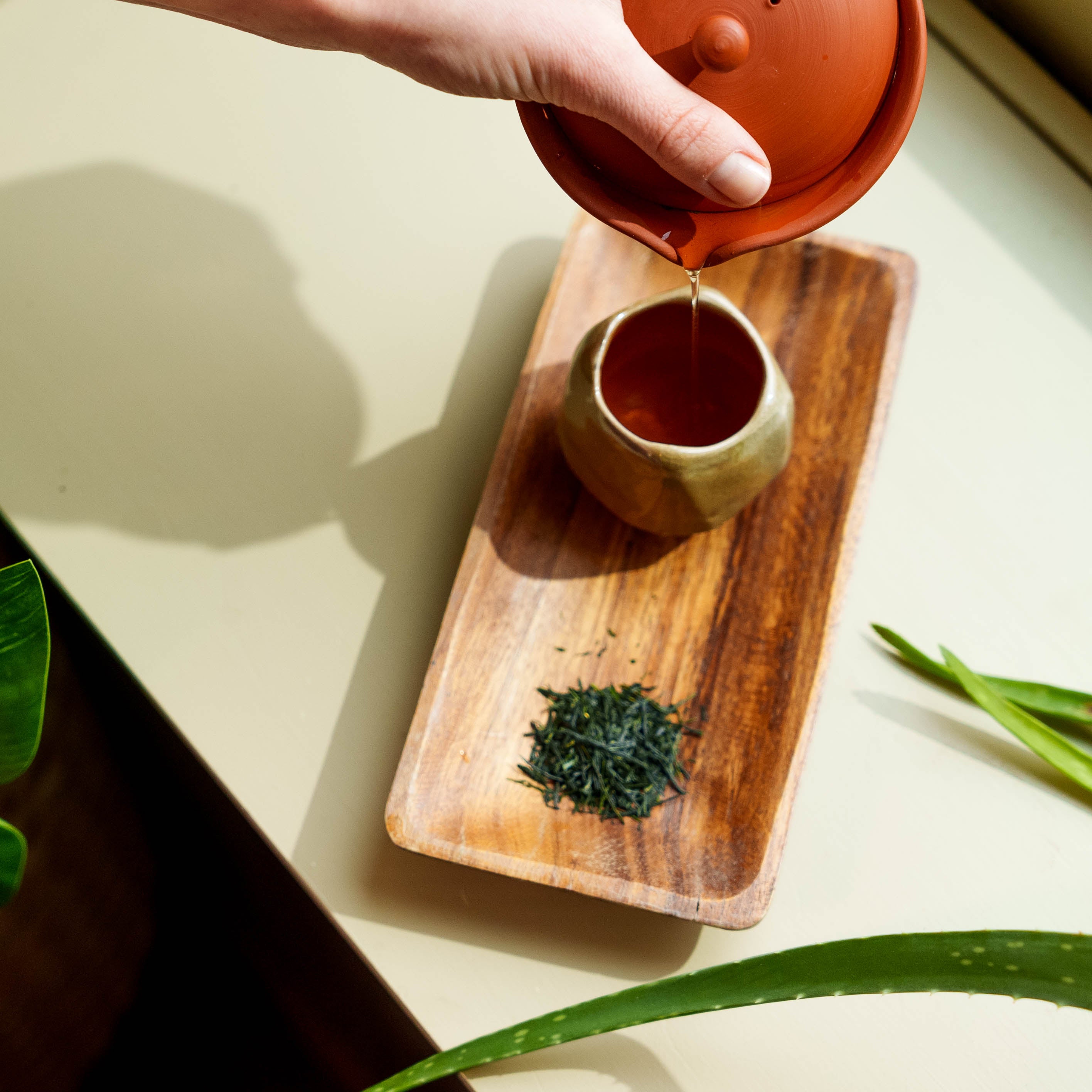 Making gyokuro tea