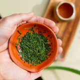 How to use a shiboridashi teapot 