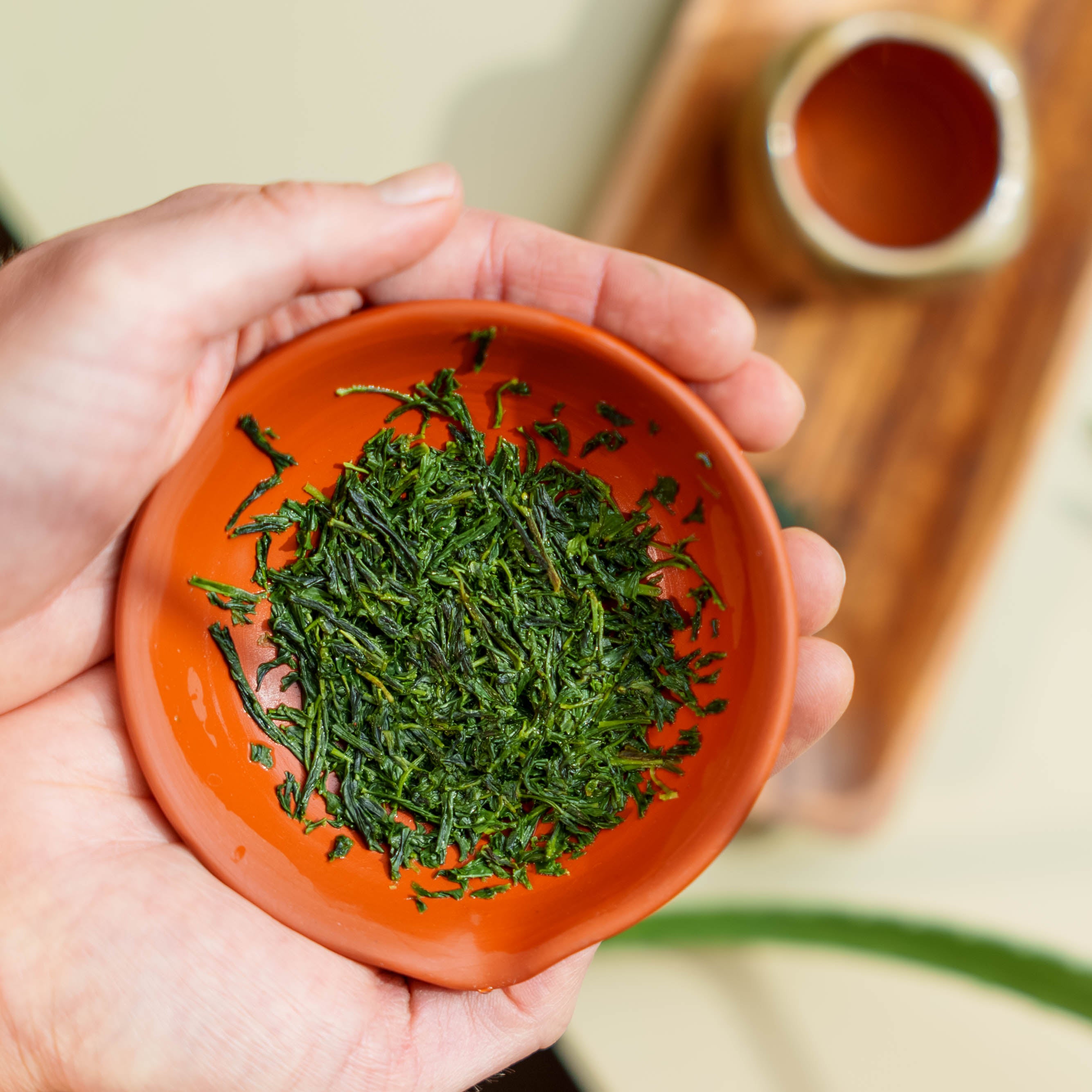 How to use a shiboridashi teapot 